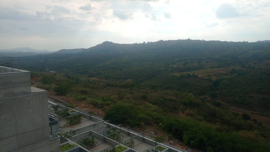 Landscape view