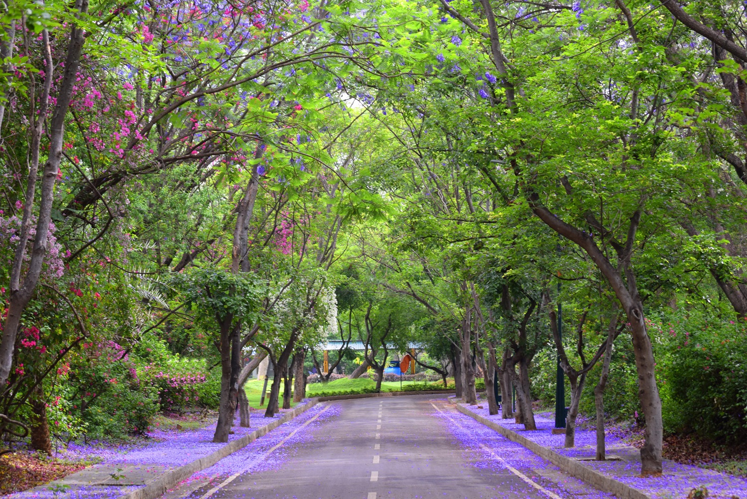 IIMB Boulevard